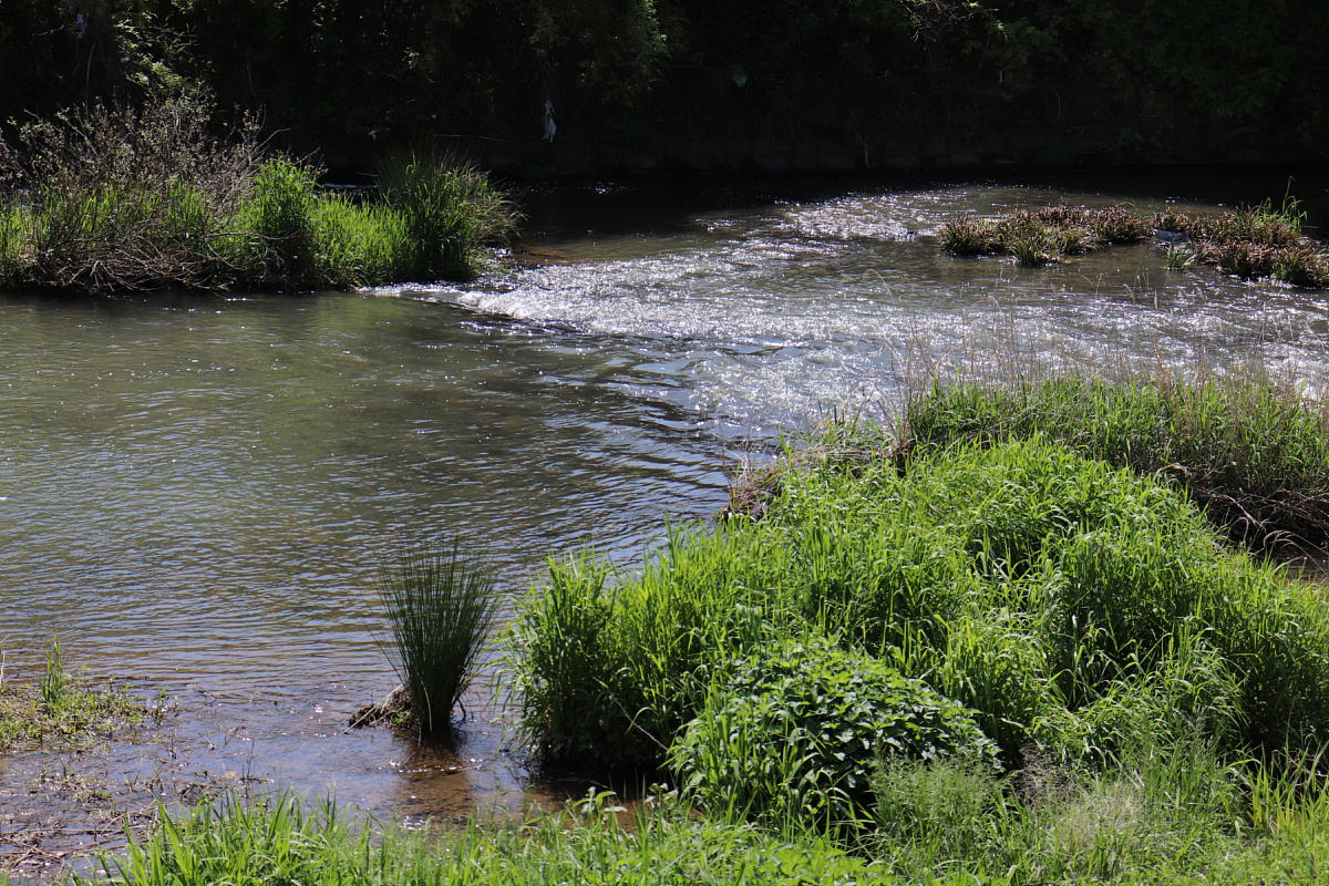 Image of river