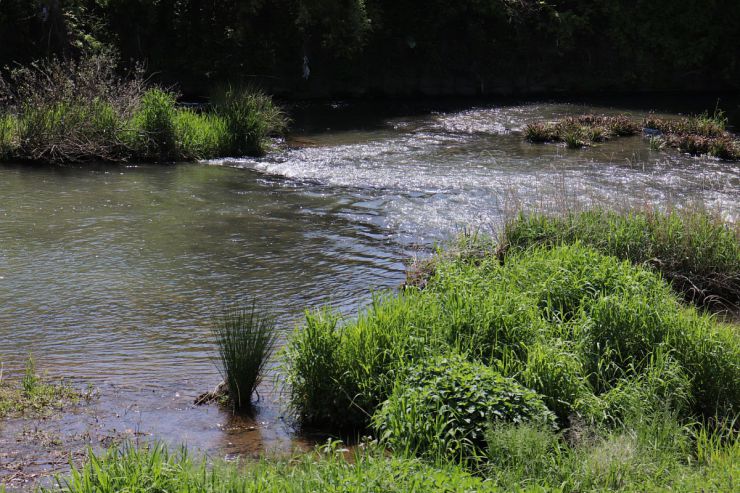 Image of river