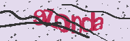 Captcha認証コード